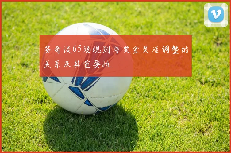 芬奇谈65场规则与奖金灵活调整的关系及其重要性